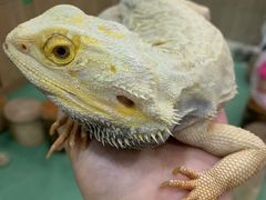 -藦茜花园宠物主题亲子互动体验馆(国顺东路店)