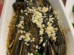 炝虎尾-玉华台饭庄(裕中西里小区店)