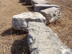 -西青郊野公园