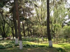 -东北大学(南湖校区)