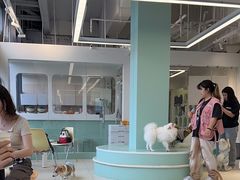 -怪兽屋·羊驼·猫咖·狗咖(俊华广场店)