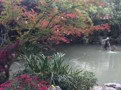 -汇龙潭