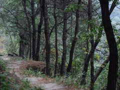 -南山风景名胜区