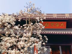 -灵谷景区