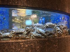 水产区-乾隆美食·本帮菜(黄河路店)
