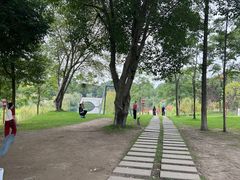 -眉山湿地公园(东坡区)
