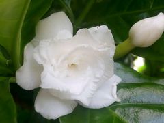 -晓港公园
