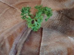 -老员外骨汤火锅(海州古城店)