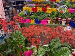 -越秀西湖花市(广州城市广场花卉店)