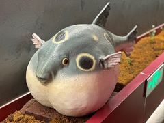 -肆月河豚·新淮扬菜·烤鸭(中关村店)