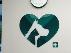 -瑞派康怡24h宠物医院·犬猫医疗中心·微创绝育(瑞景分院)