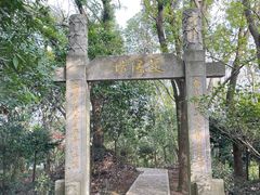 -上海佘山国家森林公园天马山园