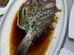 -华盛丰温州大排档(东三环南路店)