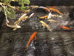 -天沐温泉(抚顺店)