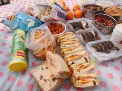 -铁山坪森林公园