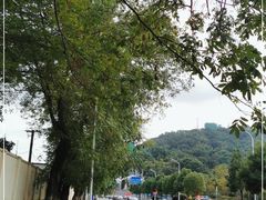 -上海佘山国家森林公园西佘山园