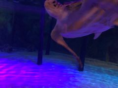 -暹罗海洋世界