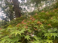 -新丰小吃(春漫里店)