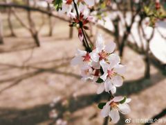 -黛秀湖公园