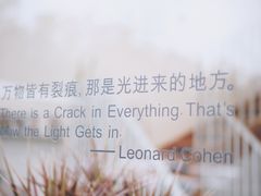 -隹木咖啡馆(宝龙广场店)