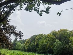 -昆山城市生态森林公园