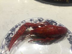 -蛙蛙叫干锅年代(簋街总店)