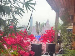 -小茶闲舍·观景商务茶馆(广州塔店)
