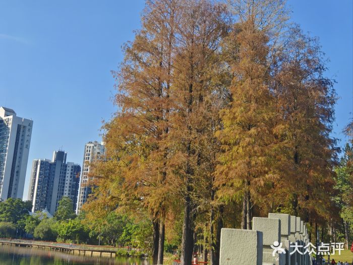 四海公园(南山区)图片