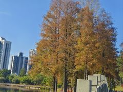 -四海公园(南山区)