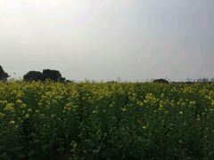 -尚贤河湿地