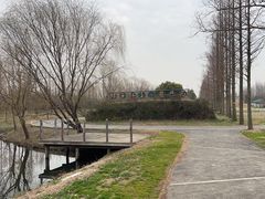 -前小桔亲子创意农场·草莓采摘·露营烧烤