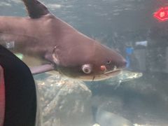 -太平洋海底世界