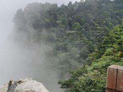-庐山风景区花径公园