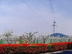 -树山生态村