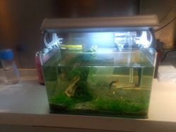 android_upload_pic-Qinskin国际皮肤管理日式整骨中心