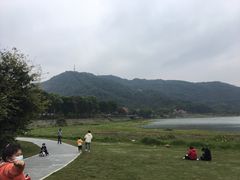 -风云岭森林公园