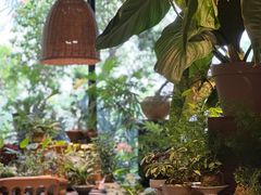 -自由生长植物工作室(深港花卉中心店)