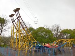 -上海海湾国家森林公园