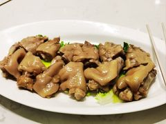 -丁老爷子苏香圆