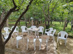 -香木香羊(小汤山店)