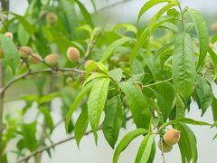 -长兴太湖图影湿地文化园