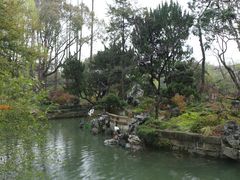 -上海醉白池公园