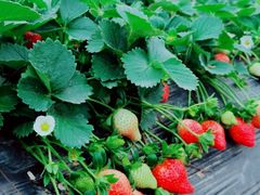 -任达丞国农庄(任达山庄店)