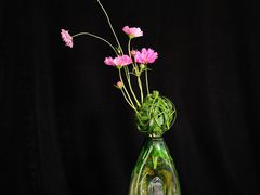 -荷兰布尔玛国际花艺学院