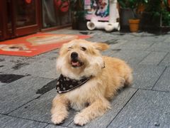 -柯达真美(老重庆中路店)