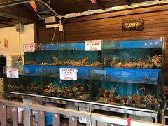 -真浪花园海鲜餐馆