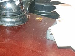 -顽啤熊·酒客酒馆(苏城夜景必选店)