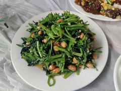果仁菠菜-金台阶鱼馆(于桥水库店)
