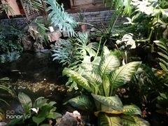 -聚缘堂·海鲜私房菜(松岭路店)