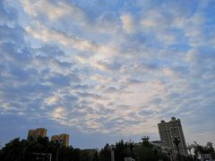 -茶百道(友好店)